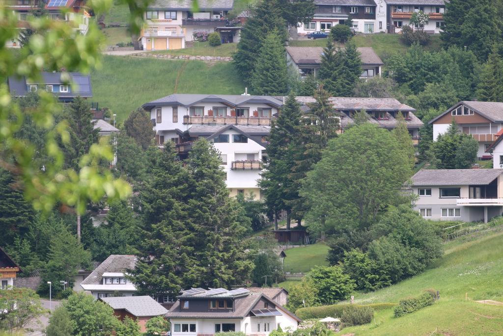 Todnauerberg Hotel Im Schwarzwald Тодтнауберг Экстерьер фото