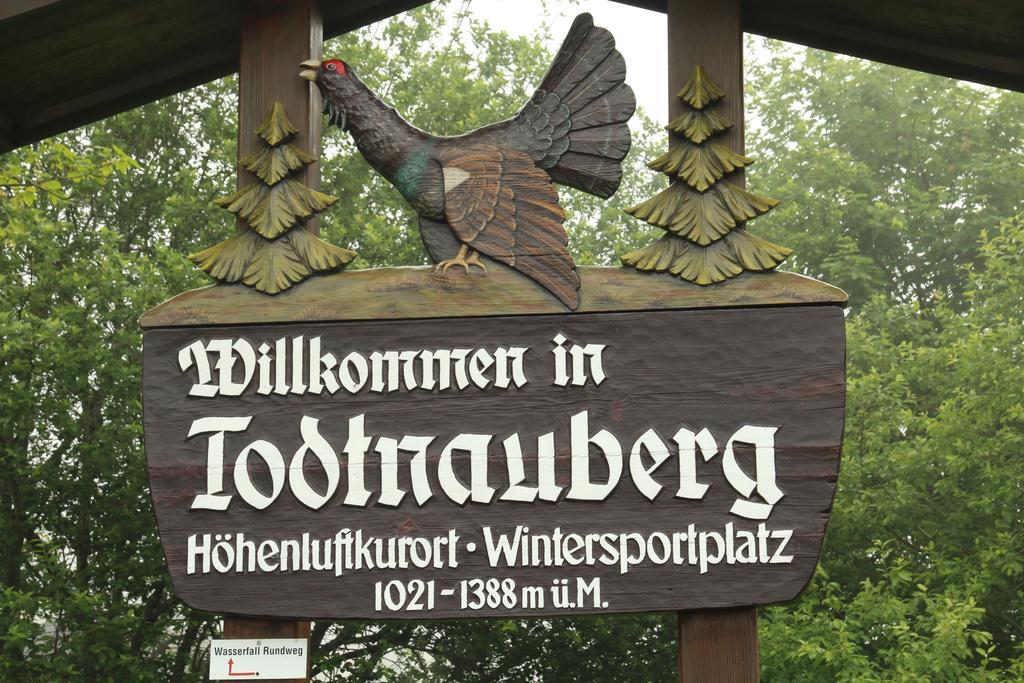 Todnauerberg Hotel Im Schwarzwald Тодтнауберг Экстерьер фото